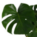 Decorum Monstera Deliciosa met Elho brussels antracite 