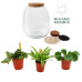 Plant Puzzel ® Discover the World Ecosysteem met verlichting 