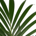 Decorum Kentia Palm - Elho brussels antracite