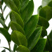 Decorum Zamioculcas in Elho Brussels Round sierpot (soap)