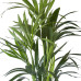 Kentia Palm in ELHO b.for soft sierpot (wit)